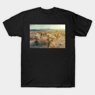 Cholla Garden T-Shirt